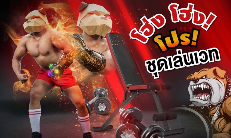 10 อันดับร้านขายอุปกรณ์ออกกำลังกายดัมเบลยอดนิยม 2025 1 ดัมเบล หมามีกล้าม