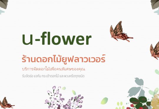 ร้านดอกไม้ ร้านพวงหรีด บริการจัดดอกไม้