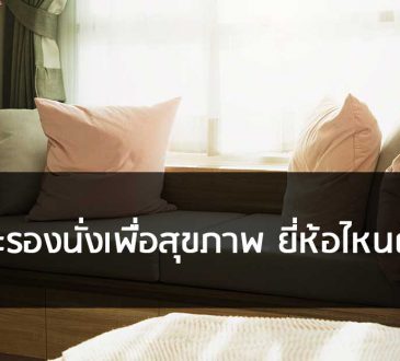 เบาะรองนั่งเพื่อสุขภาพ ยี่ห้อไหนดี