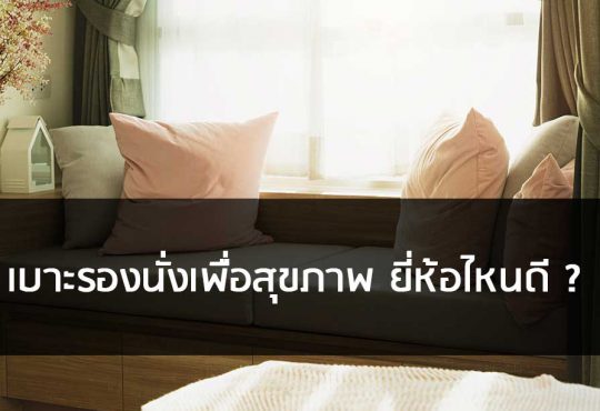 เบาะรองนั่งเพื่อสุขภาพ ยี่ห้อไหนดี