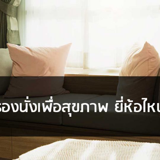 เบาะรองนั่งเพื่อสุขภาพ ยี่ห้อไหนดี