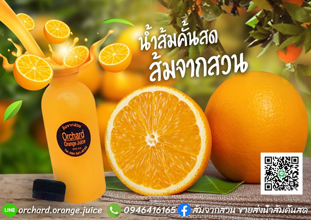 Orchard Orange Juice ร้านขายส่งน้ำส้ม - 1