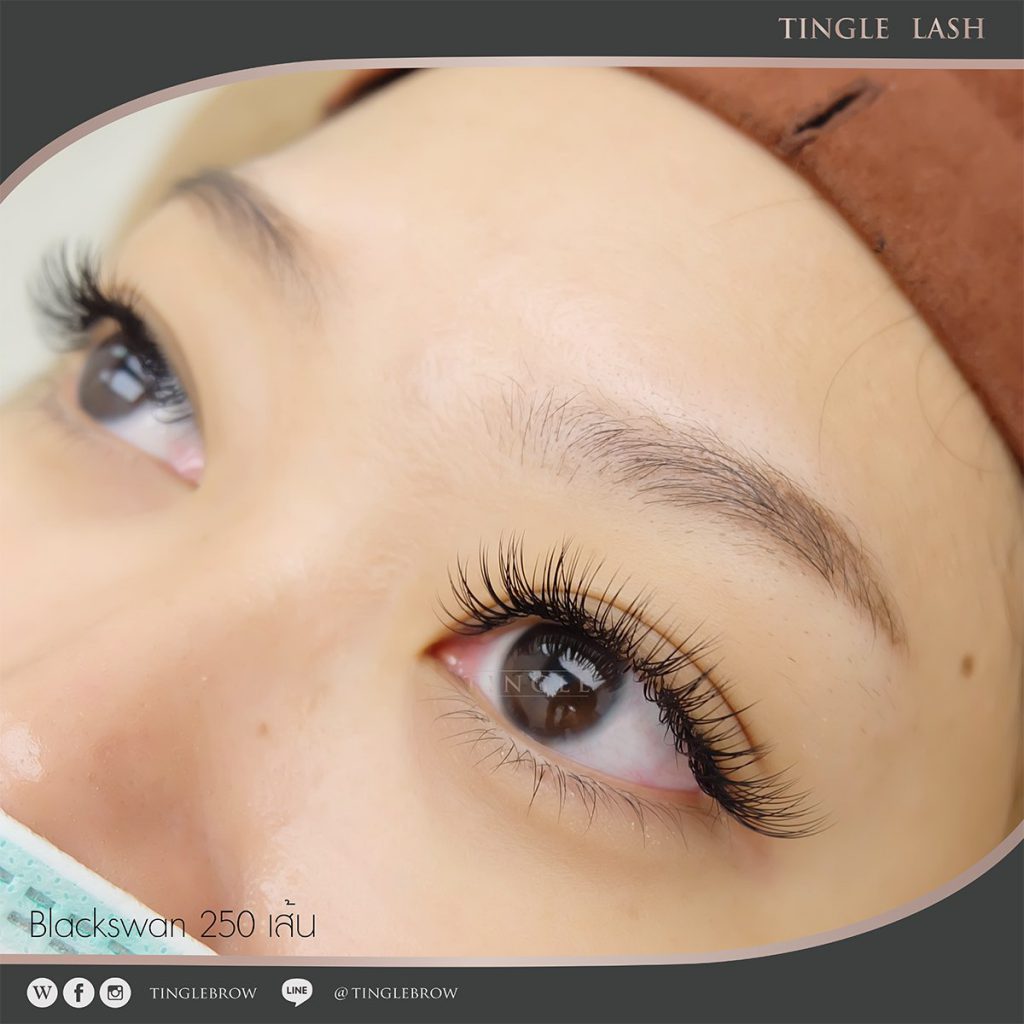 Tingle Brow and Lash Expert ร้านลิฟติ้งขนตา - 2