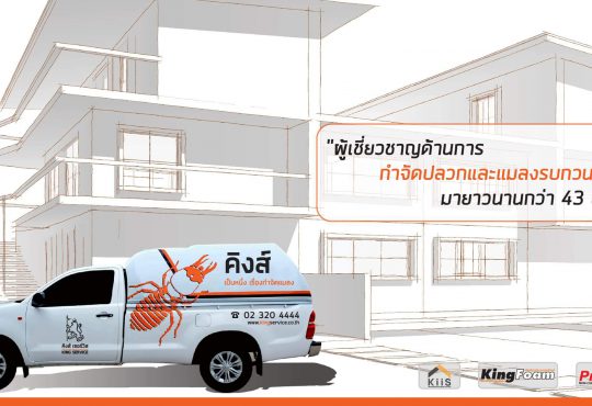 บริการกำจัดปลวก กำจัดแมลง สัตว์รบกวน - King Service Center
