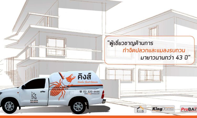 บริการกำจัดปลวก กำจัดแมลง สัตว์รบกวน - King Service Center