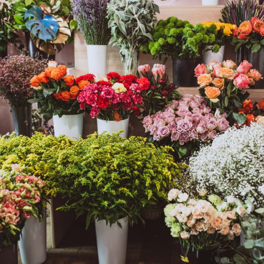 ร้านดอกไม้ในกรุงเทพ