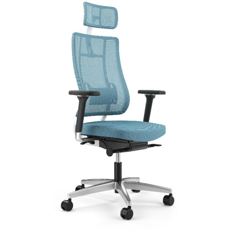 เก้าอี้ทำงานเพื่อสุขภาพ RicheMuller X-Trans Ergonomic Chair Model รุ่น Top Function นั่งสบายไม่มีพัง
