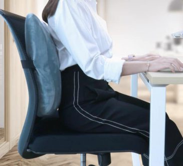 เบาะรองหลังเพื่อสุขภาพ ดีที่สุดในปี 2023 - 1