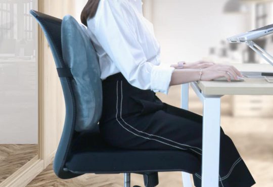 เบาะรองหลังเพื่อสุขภาพ ดีที่สุดในปี 2023 - 1