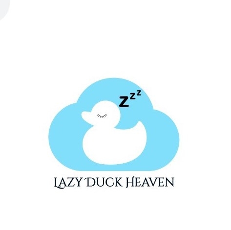 Lazy Duck Heaven หมอนขนเป็ดเทียมเพื่อสุขภาพ การออกแบบหมอนมีทั้งแบบสูงและต่ำให้เลือกนอนกัน