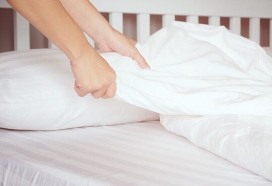 ผ้าปูที่นอน ยี่ห้อไหนดี - 1