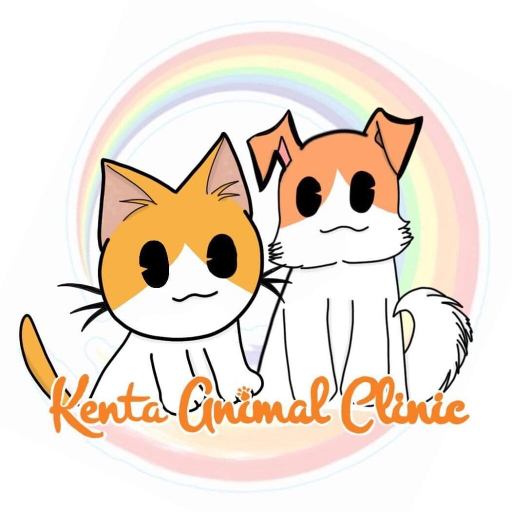 Kenta Animal Clinic คลินิกรับรักษาสัตว์เลี้ยง นำเสนอทุกแพ็คเกจสุดคุ้มค่ารักษาทุกอาการจนหายดี