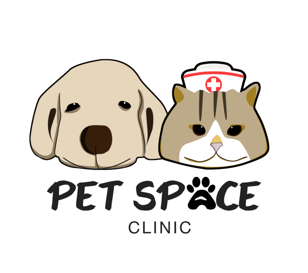 Pet Space Clinic คลินิกรักษาสัตว์ บริการครบจบทุกขั้นตอนการรักษาที่ได้มาตรฐาน