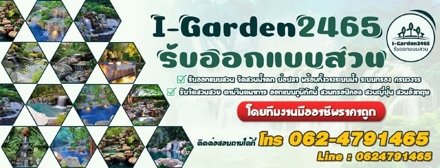 I-Garden2465 บริการบริษัทรับจัดสวน เตรียมพร้อมทุกไอเดียสไตล์ทันสมัย ดูสบายตาในทุกจุด