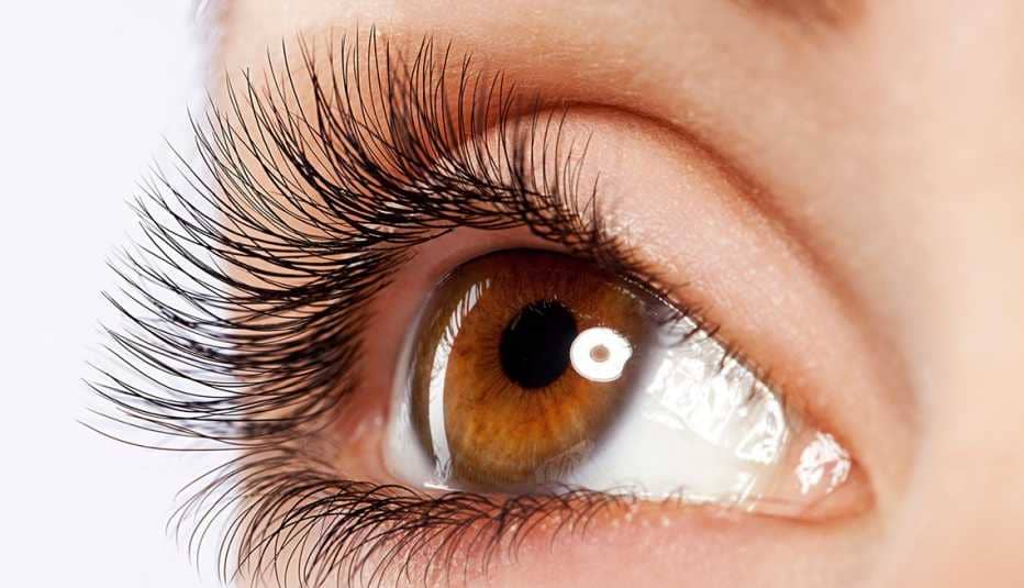 10 อันดับ โรงเรียนสอนต่อขนตา ที่ไหนดี หลักสูตรสอนเสริมเติมเสน่ห์ให้ดวงตา ในราคาที่คุ้มค่า 4 โรงเรียนสอนต่อขนตา ที่ไหนดี - 2