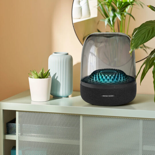 Which Harman Kardon speaker model is good