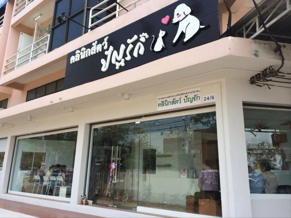 คลินิกสัตว์ปัญรัก คลินิกทำหมันแมว ตรวจเช็คทุกซอกมุม ตรวจสุขภาพแมวอย่างปลอดภัย
