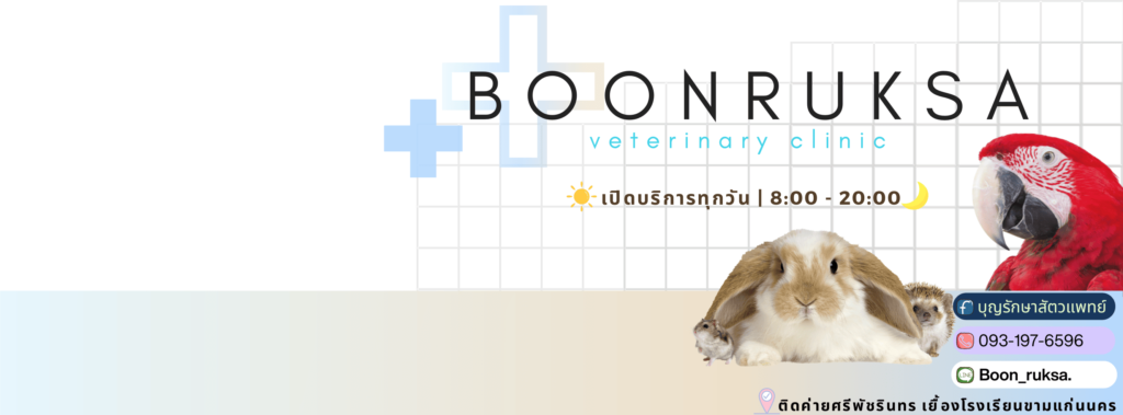 บุญรักษาสัตวแพทย์ โรงพยาบาลสัตว์ ขอนแก่น ทำหมัน ตรวจเลือด รักษาอาการผิดปกติทุกประเภ