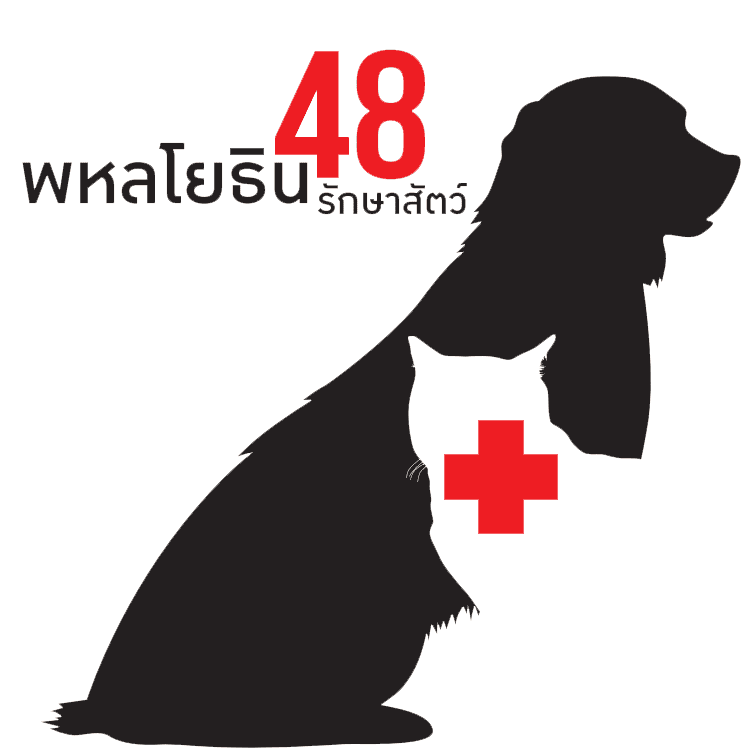 พหลโยธิน48 รักษาสัตว์ คลินิกทำหมันสุนัข บริการตรวจเช็คอาการและการขายสินค้าเพ็ทช็อป
