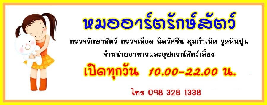 หมออาร์ตรักษ์สัตว์ คลินิกตรวจสุขภาพแมว รักษาและการขายอาหาร อุปกรณ์สัตว์เลี้ยงทุกชน