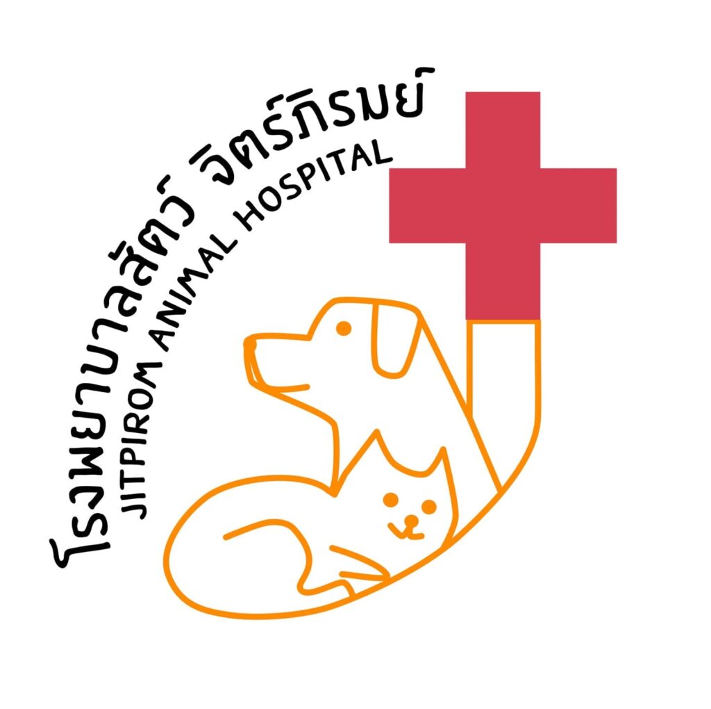 โรงพยาบาลสัตว์จิตร์ภิรมย์ ขอนแก่น รักษาพร้อมติดตามทุกเคสสัตว์เลี้ยง ดูแลรักษาจนกว่