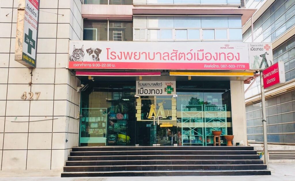 โรงพยาบาลสัตว์เมืองทอง รับตรวจสุขภาพสุนัข แนะนำการรักษาด้วยวิธีที่ได้มาตรฐาน