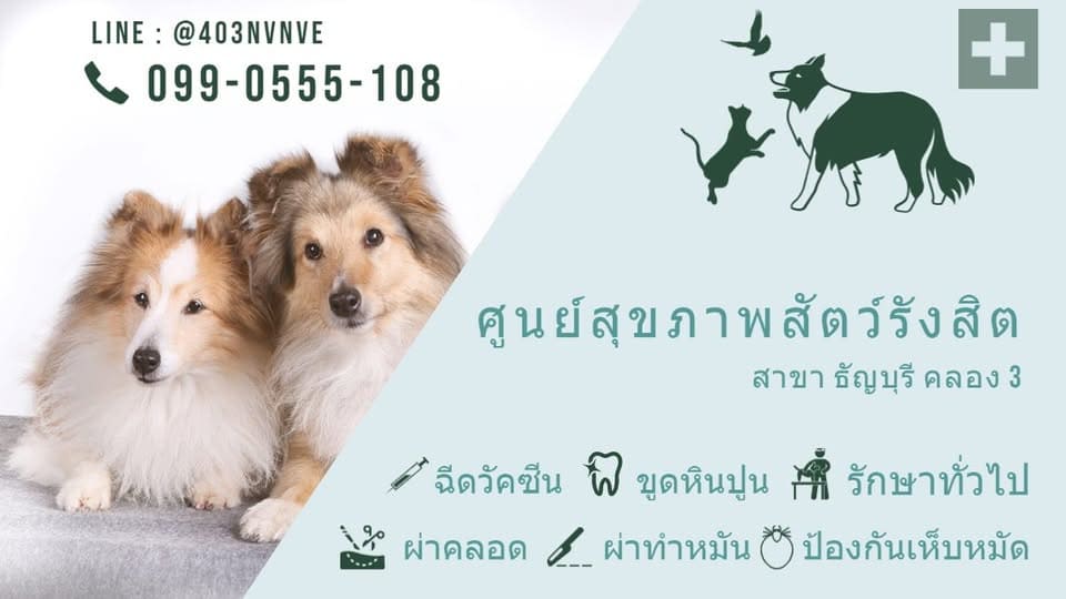 Animal Health Rangsit โรงพยาบาลตรวจสุขภาพสุนัข ดูแลสุนัขทุกตัวเหมือนสัตว์เลี้ยงของตัวเอง