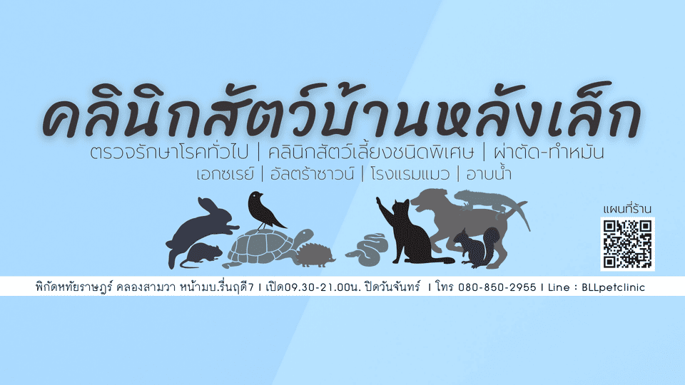 Baan Lang Lek Pet Clinic & Hotel คลินิกทำหมันสุนัข บริการรับรักษาโรค เอกซเรย์ อัลตร้าซาวน์