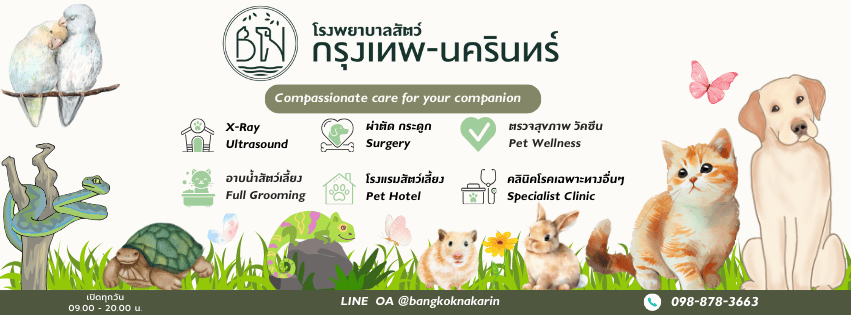 Bangkok-Nakarin Animal Hospital โรงพยาบาลสัตว์ กรุงเทพ ขจัดปัญหาการเกิดโรค รักษาสัตว์ทุกช่วงอายุ