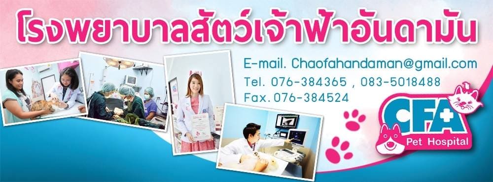 Chaofah Andaman Pet Hospital Phuket โรงพยาบาลสัตว์ ภูเก็ต