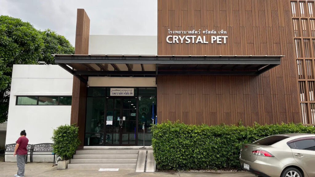 Crystal Pet Hospital โรงพยาบาลสัตว์ กรุงเทพ การรักษาดูละเอียดทุกจุด