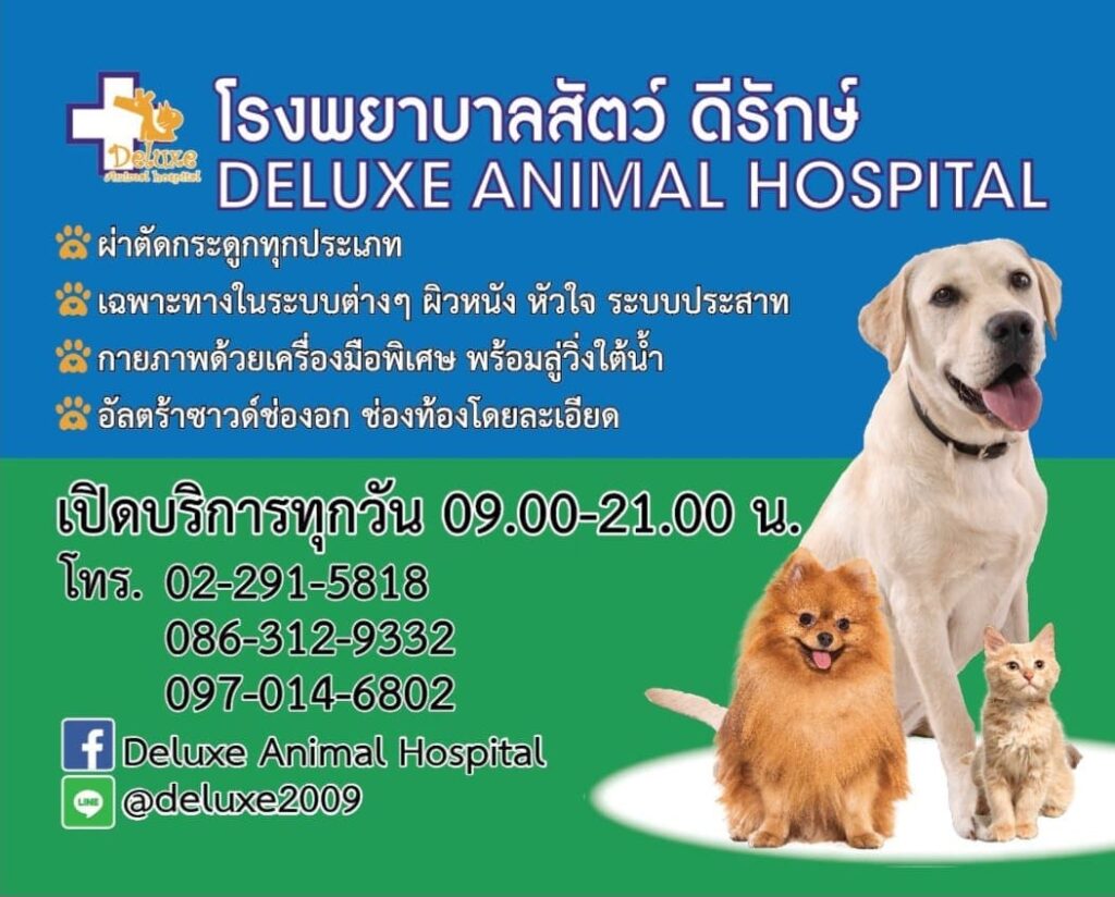 Deluxe Animal Hospital โรงพยาบาลสัตว์ กรุงเทพ รักษาทุกเคสอาการอย่างถูกต้อง