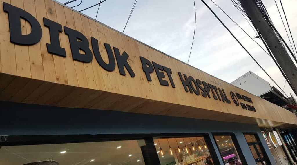 Dibuk Pet Hospital โรงพยาบาลสัตว์ ภูเก็ต