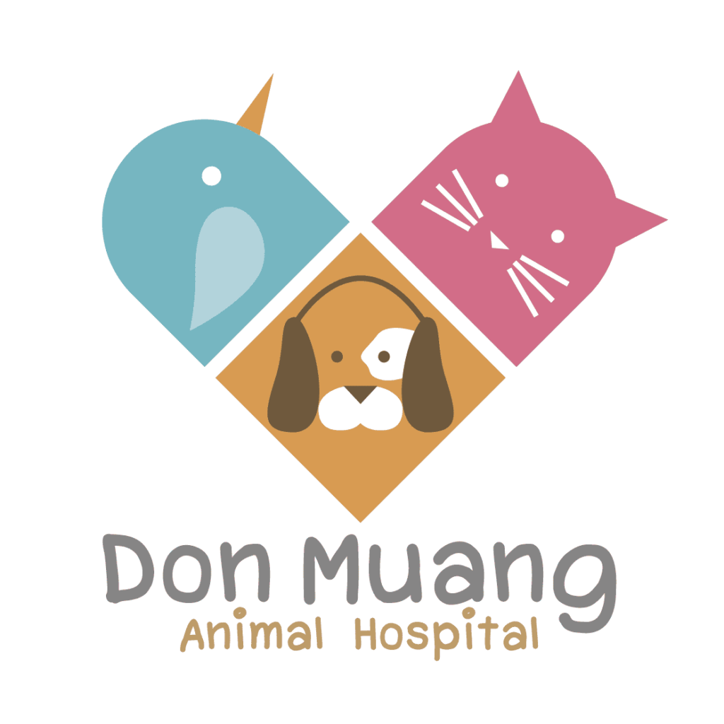 Don Muang Animal Hospital โรงพยาบาลตรวจสุขภาพสุนัข บริการรับตรวจทั้งสุนัขเด็กไปจนถึงสุนัขแก่