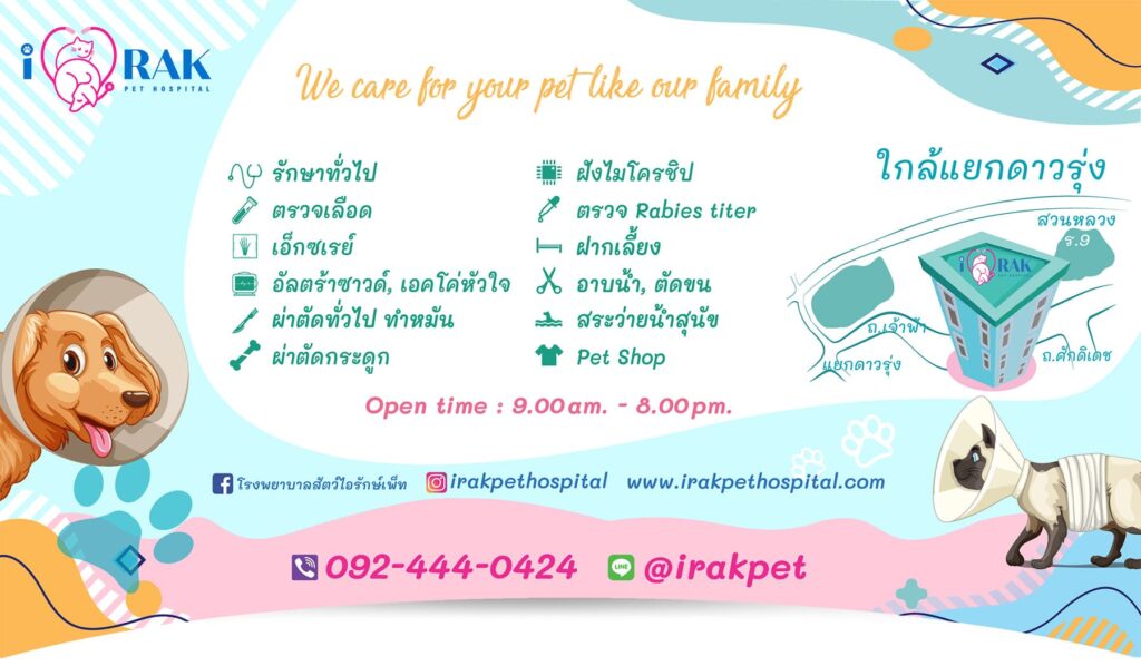 I RAK PET Hospital Phuket โรงพยาบาลสัตว์ ภูเก็ต