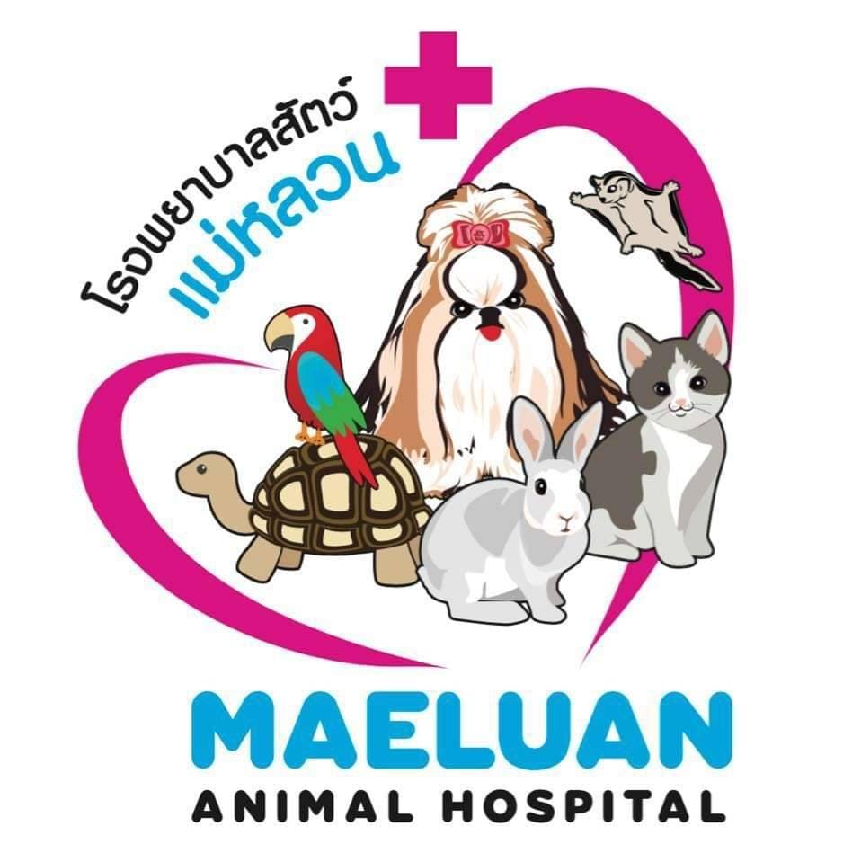 Maeluan Phuket Animal Hospital โรงพยาบาลสัตว์ ภูเก็ต