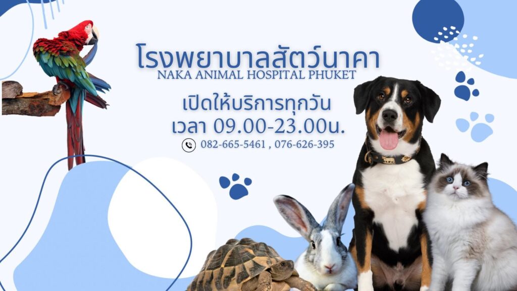 Naka Animal Hospital Phuket โรงพยาบาลสัตว์ ภูเก็ต 