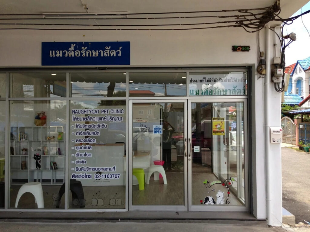 Naughty Cat Pet Clinic คลินิกทำหมันแมว เช็คสุขภาพและการผ่าตัดปกปิดรอยแผลหลังทำหมันได้เนียนธรรมชา