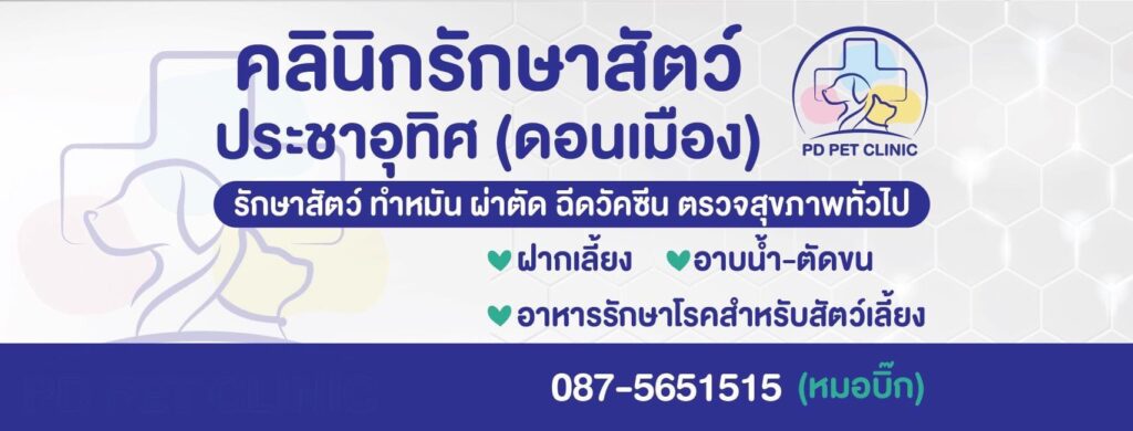 PD Pet Clinic คลินิกทำหมันสุนัข แนะนำทุกขั้นตอน นำเสนอขายอาหารสัตว์สำหรับโรคเฉพาะทาง