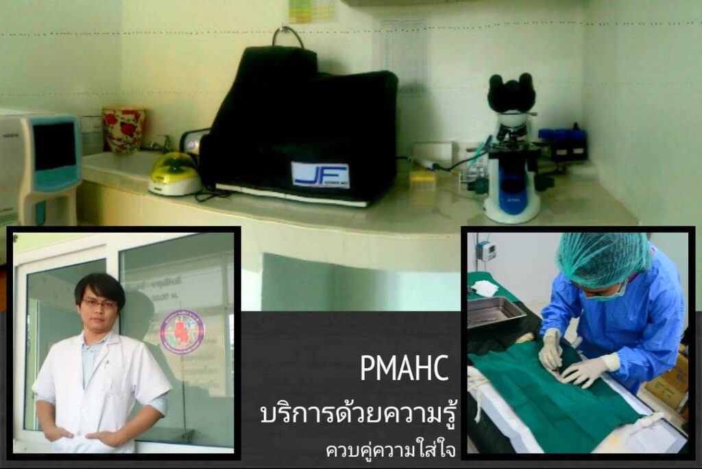 Pa Mari Animal's Health Center ศูนย์ตรวจสุขภาพสุนัข บริการด้วยใจ ดูแลสุนัขดุจสัตว์เลี้ยงของตัวเอง