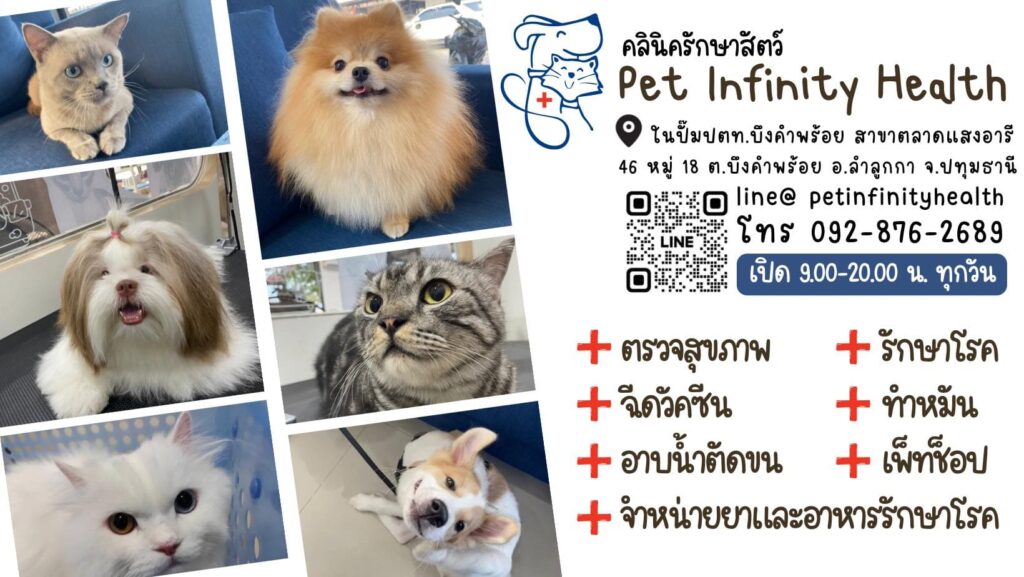Pet Infinity Health Animal Clinic คลินิกทำหมันสุนัข ตรวจสุขภาพ รักษาโรค