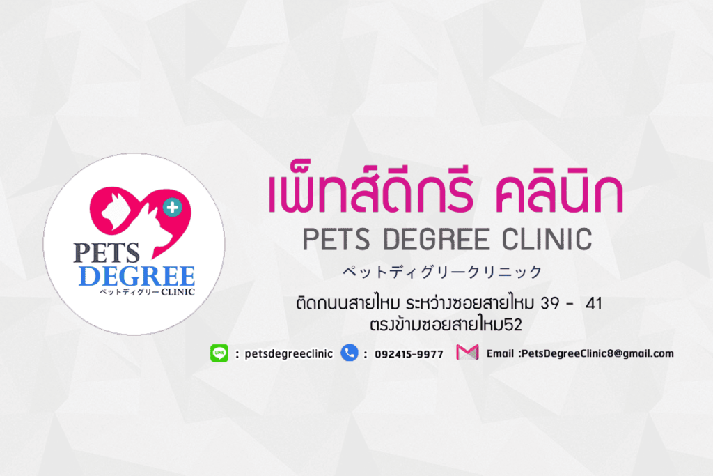 Pets Degree Clinic คลินิกทำหมันสุนัข ดูแลพร้อมทำการรักษาทุกอาการของสุนัขและสัตว์เลี้ยง