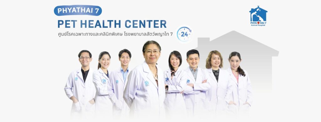 Phyathai 7 Animal Hospital โรงพยาบาลสัตว์ กรุงเทพ เปิดปัญหาบริการดูแลตลอด 24 ชั่วโมง