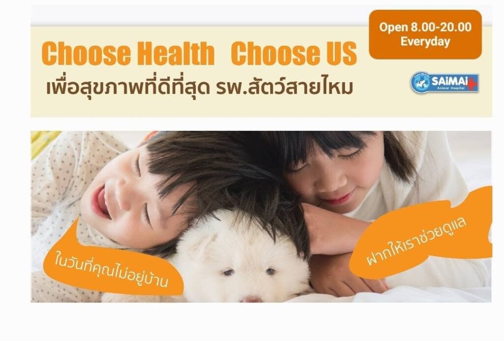 Saimai Animal Hospital โรงพยาบาลสัตว์ กรุงเทพ ดูแลดุจสัตว์เลี้ยงของตัวเอง