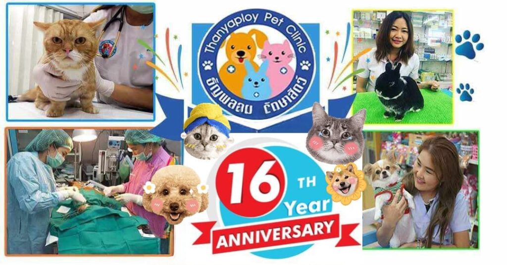 Thanyaploy Pet Clinic คลินิกทำหมันสุนัข ดูแลสุขภาพสัตว์เลี้ยงด้วยประสบการณ์สัตวแพทย์เฉพาะทาง