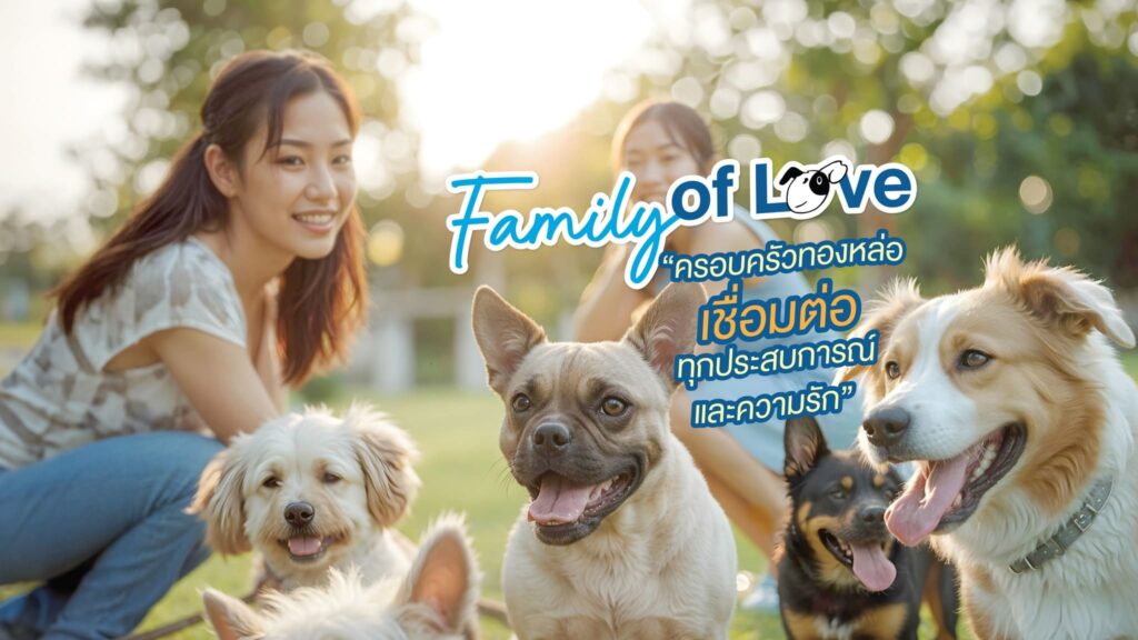 Thonglor Pet Hospital Rama 6 โรงพยาบาลตรวจสุขภาพแมว ตรวจและแนะนำเจ้าของสัตว์เลี้ยงทุกคน