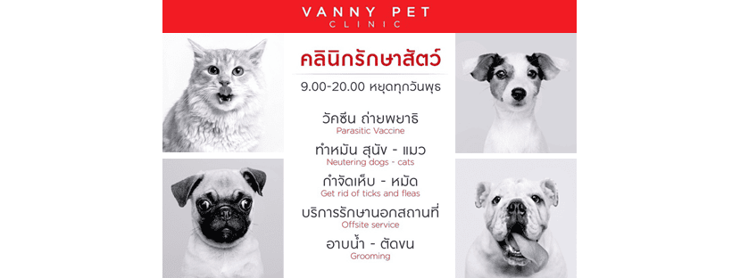 Vanny Pet Clinic คลินิกตรวจสุขภาพสุนัข หลักการตรวจรักษาดูแลโดยสัตวแพทย์เฉพาะทาง
