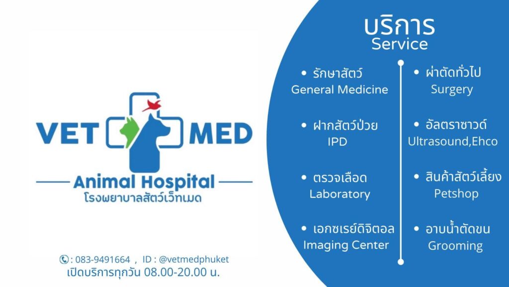 Vetmed Animal Hospital Phuket โรงพยาบาลสัตว์ ภูเก็ต