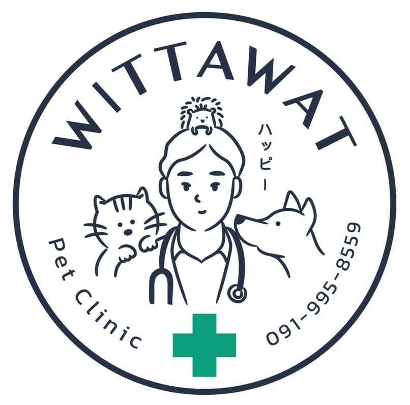 Wittawat Pet Clinic คลินิกตรวจสุขภาพแมว พร้อมการรักษาทุกอาการโรคยอดนิยม