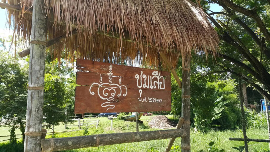 ชุมเสือ WhiteWater Adventures ล่องแก่ง นครนายก ท่องเที่ยวแบบสนุก พร้อมได้ความรู้